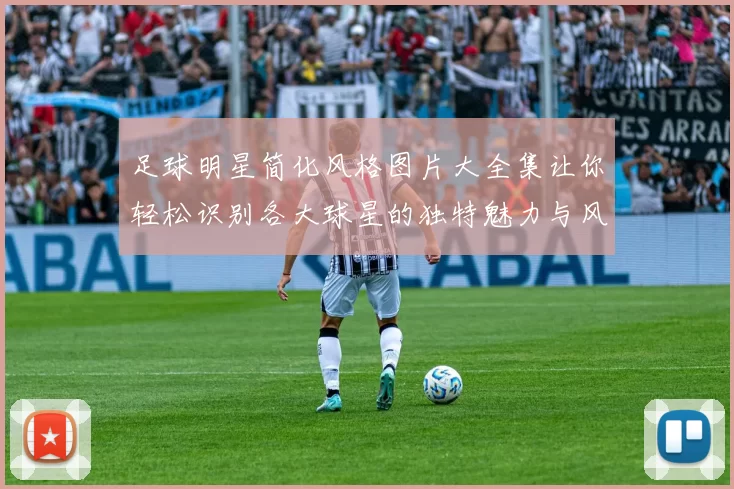 足球明星简化风格图片大全集让你轻松识别各大球星的独特魅力与风采