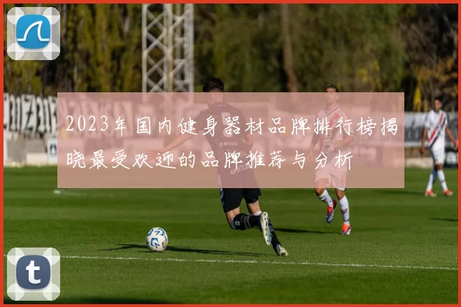 2023年国内健身器材品牌排行榜揭晓最受欢迎的品牌推荐与分析